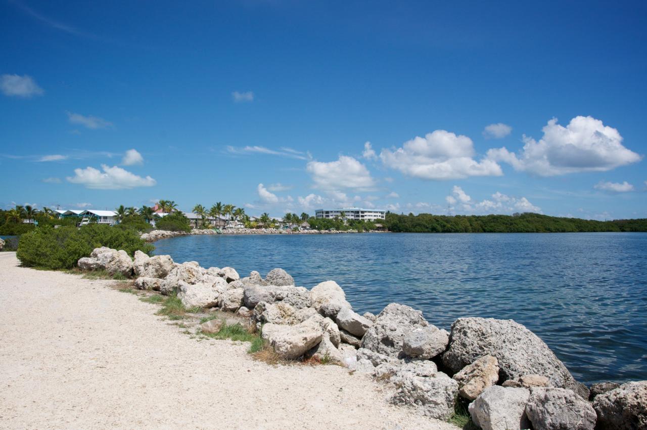 Kawama Yacht Club Apartment Key Largo Eksteriør billede