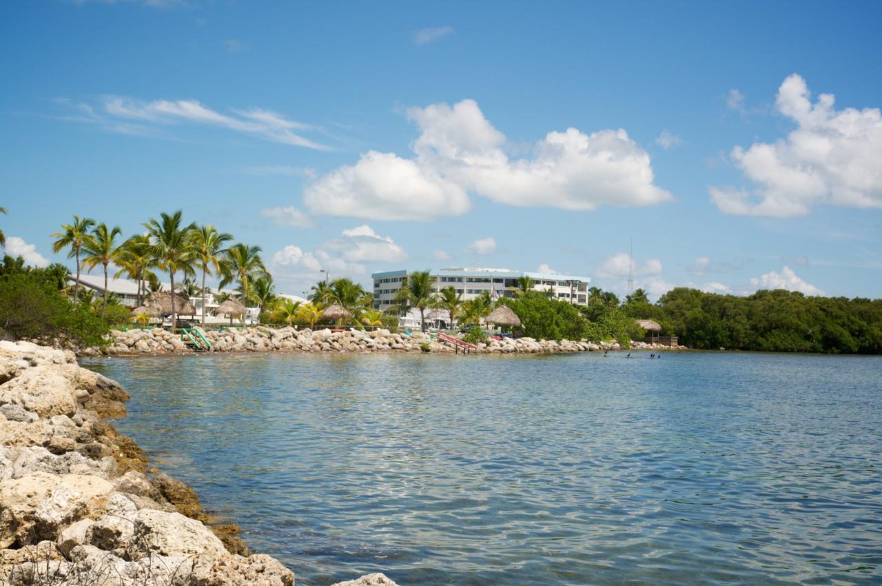 Kawama Yacht Club Apartment Key Largo Eksteriør billede
